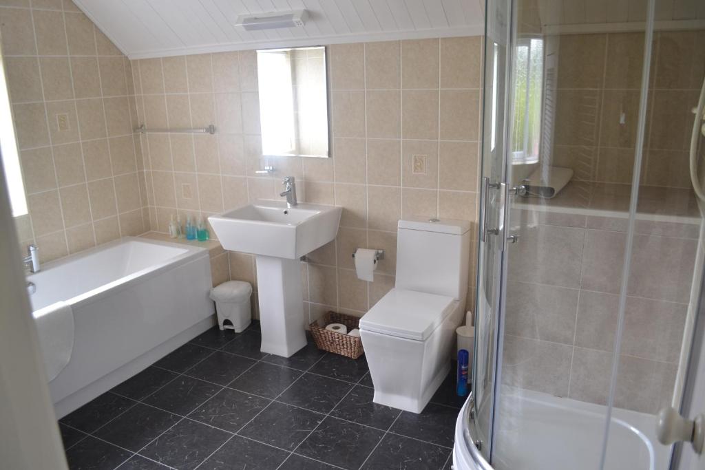 a bathroom with a sink and a toilet and a shower at The Lilacs in Ashbourne