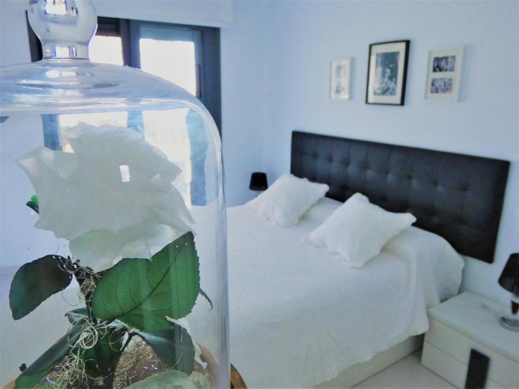 Postel nebo postele na pokoji v ubytování Ocean View Apartment