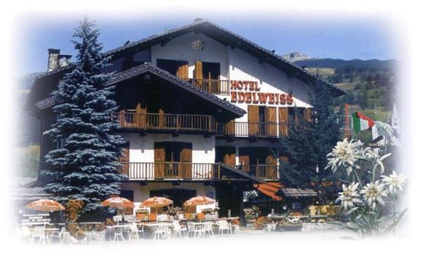 Hotel Edelweiss & SPA žiemą