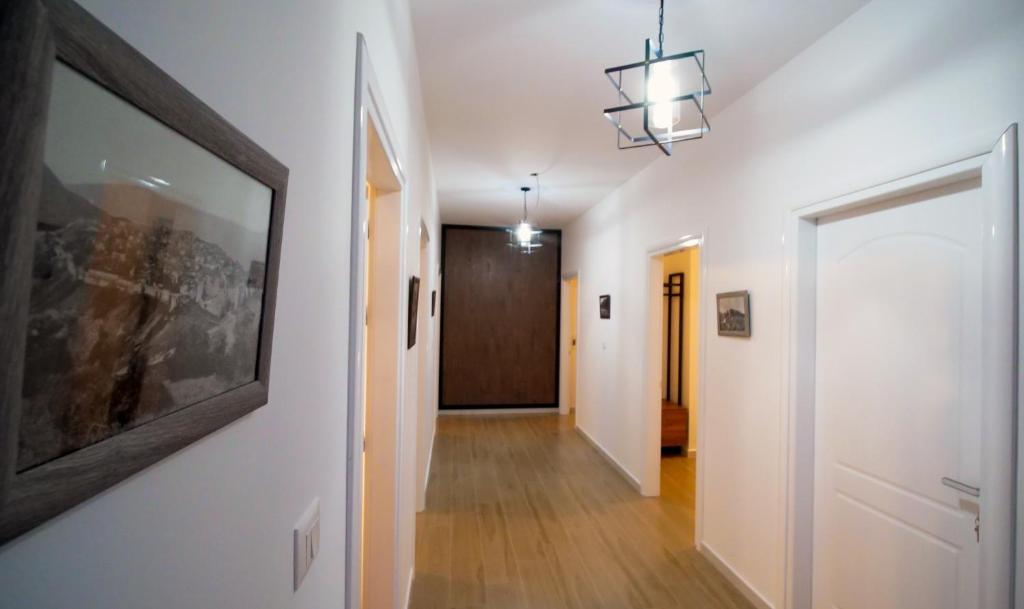 Villa Balliu Modern Room