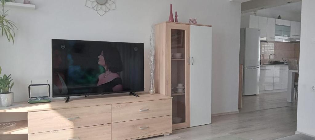 a television sitting on top of a dresser in a living room at Apartment Biskupovic in Dugi Rat