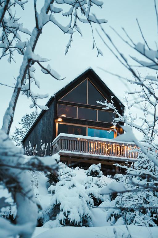 Beachfront · Private Beach Skårungen - Hotel, Cabins and Camping - Top Row Cabin