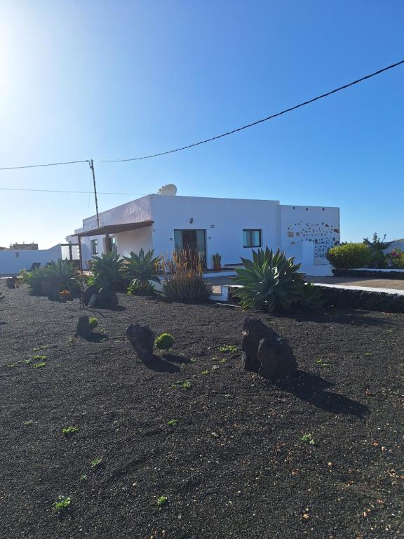 een wit huis met planten ervoor bij Casa el Gallo in Teguise