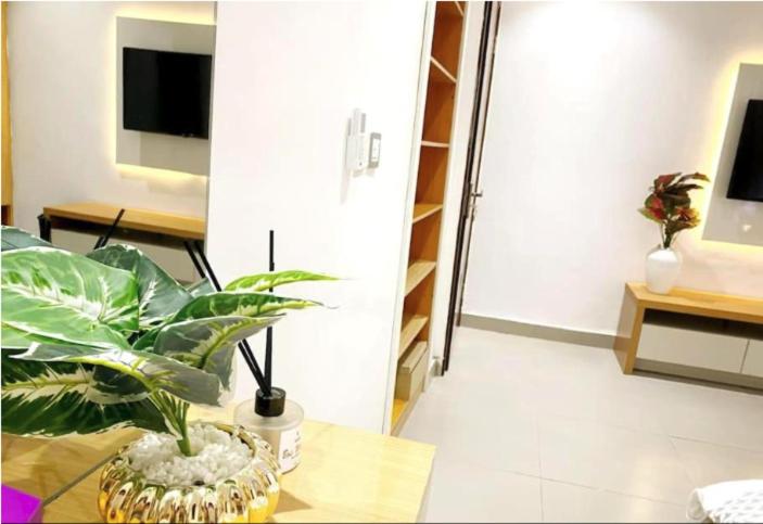 a living room with a potted plant on a table at Luxurious 2 bedroom Apartment with Private Chef in Lagos