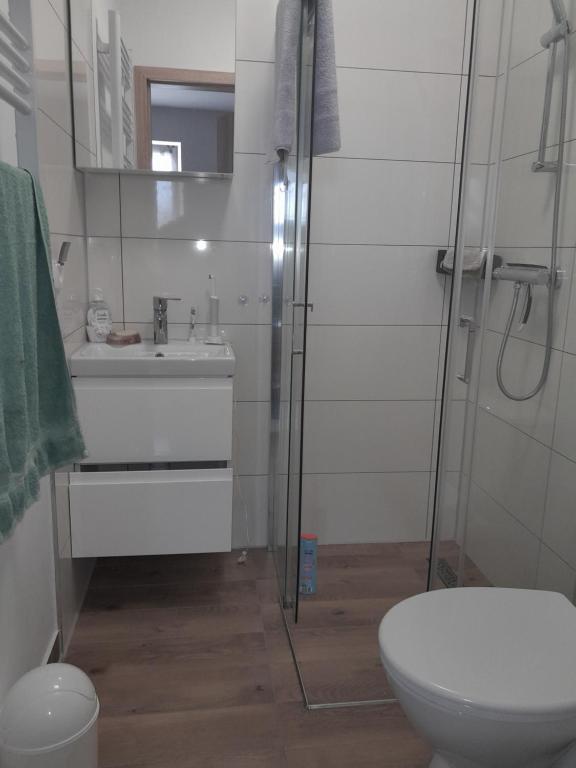 ein Bad mit einem WC, einem Waschbecken und einer Dusche in der Unterkunft Domek Gościnny nad jeziorem Limajno in Olsztyn