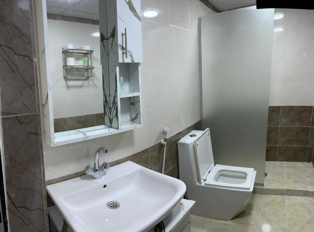 a bathroom with a sink and a toilet at Revan Rum Luxury Camp in Wadi Rum