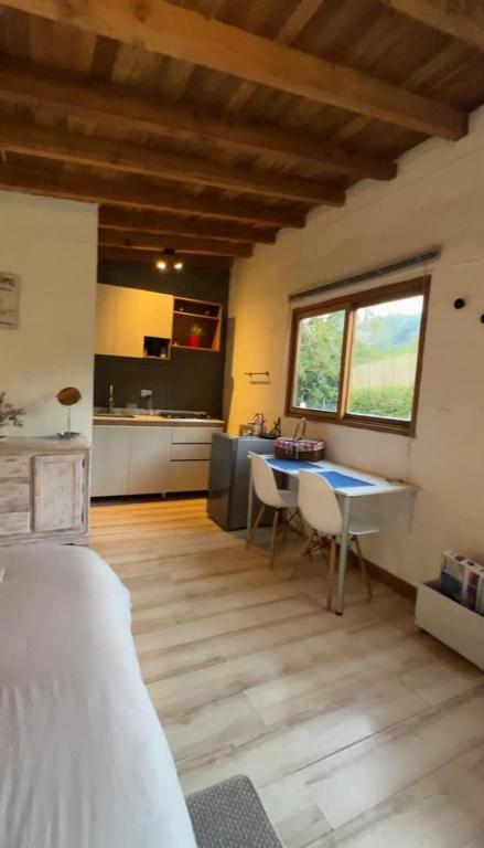 Kuchyň nebo kuchyňský kout v ubytování Nativo House