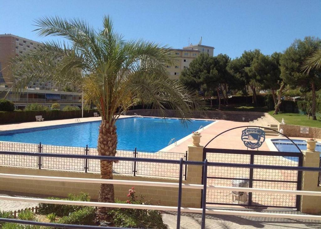 Swimmingpoolen hos eller tæt på Acogedor Bungalow - Club del Mar