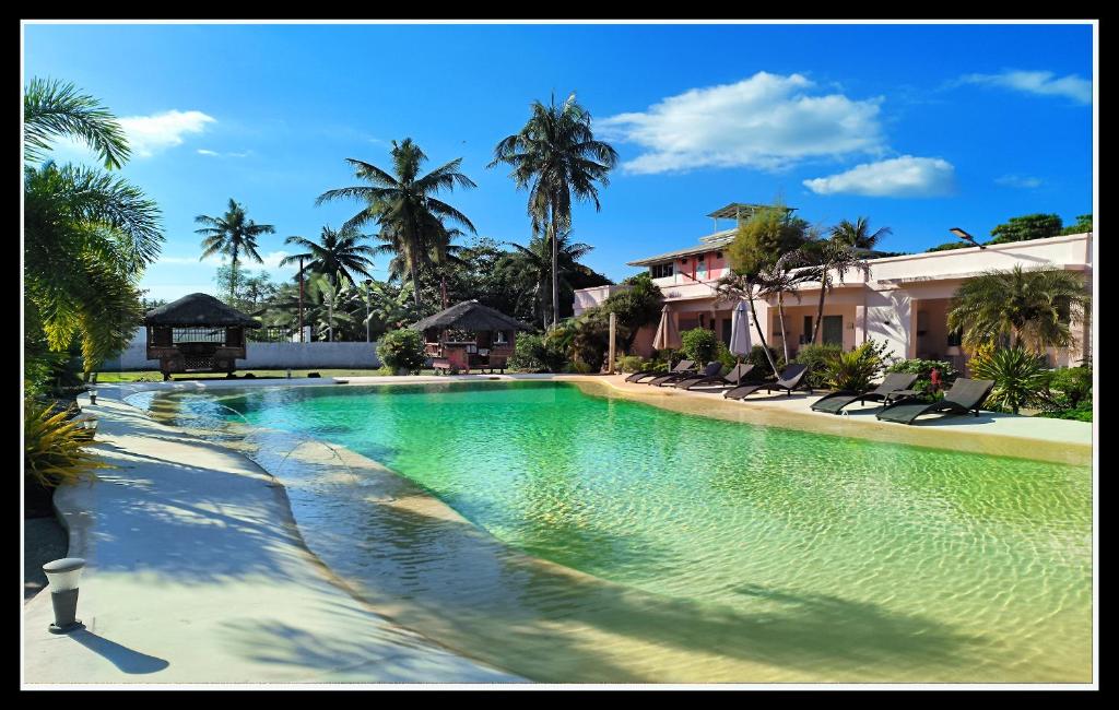 een groot zwembad met stoelen en palmbomen bij Imagine-Bohol in Panglao