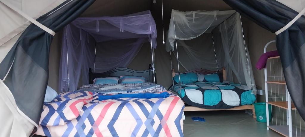 Postel nebo postele na pokoji v ubytování Leruk Maasai Mara Camp
