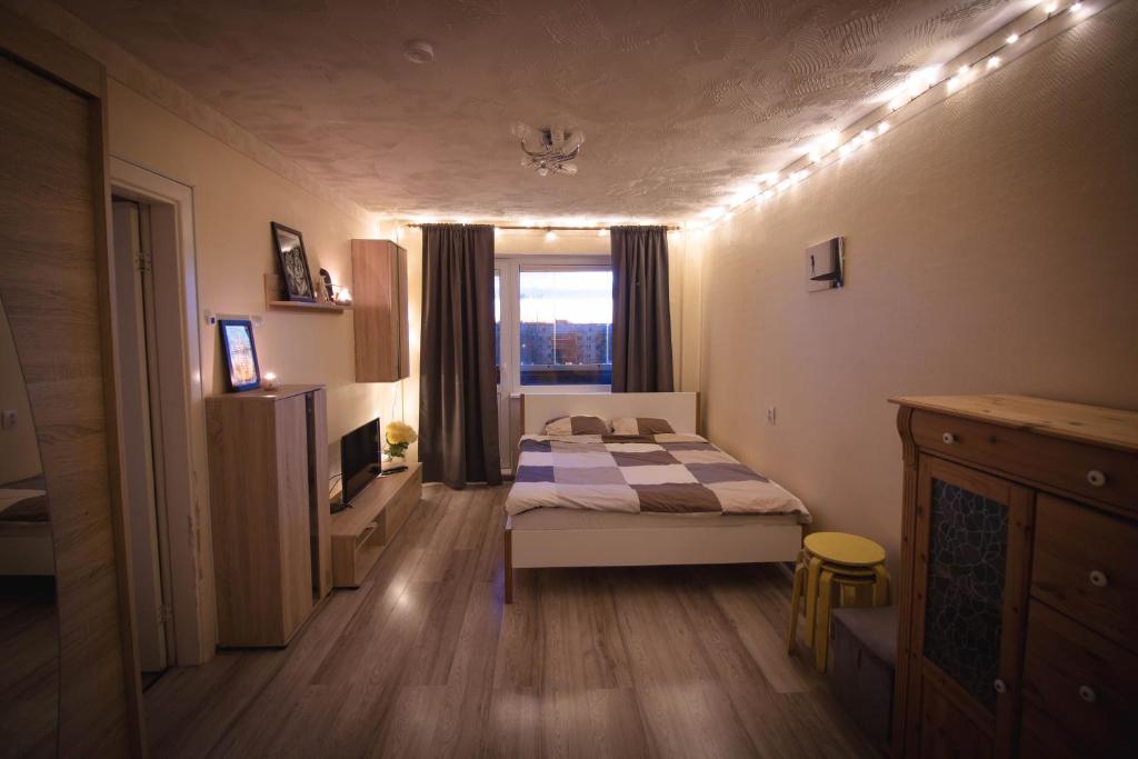 塔爾圖的住宿－Anne Apartment - 1 Bedroom + Balcony，一间小卧室,配有床和窗户