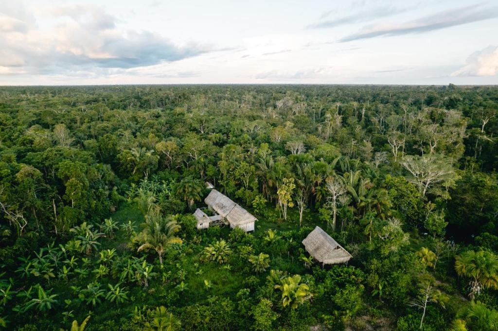 una vista aérea de dos edificios en medio de un bosque en Buchisapa Lodge, en Iquitos