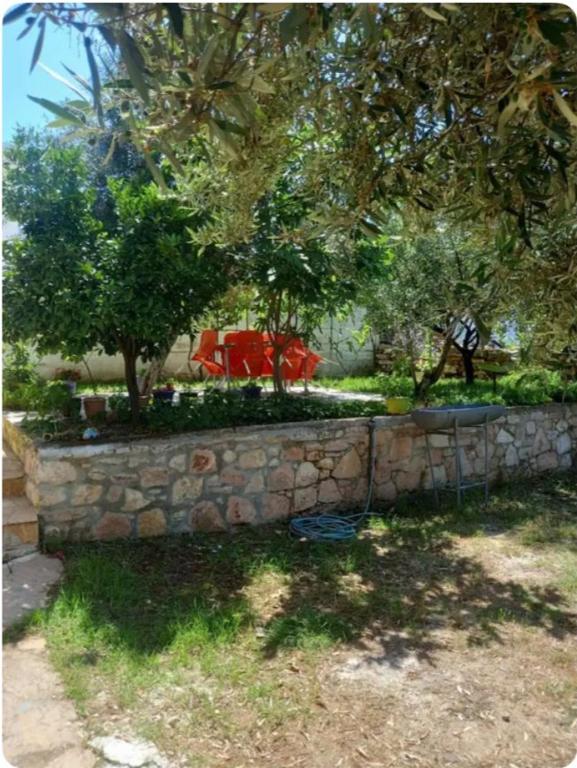 Zahrada ubytování VILLA SILVI KSAMiL