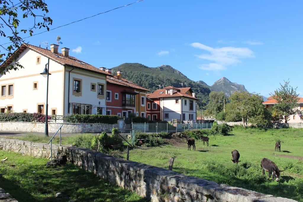 a group of animals grazing in a field next to houses at Acogedor bajo con terraza y vistas in Nueva de Llanes