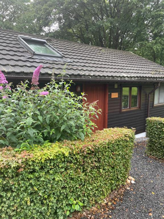Zahrada ubytování Chalet 9 La Boverie