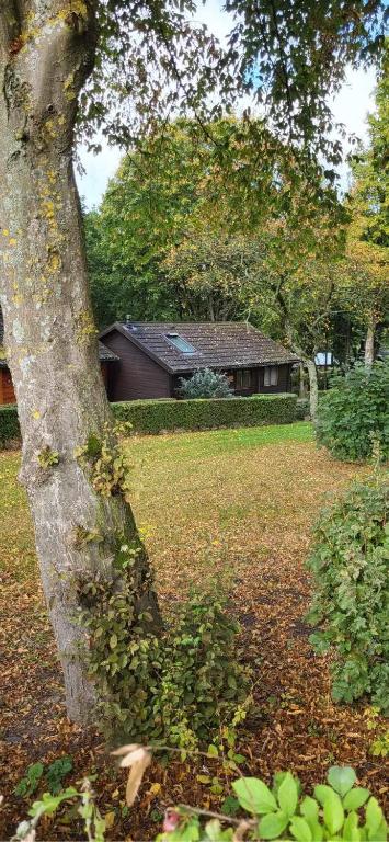 Zahrada ubytování Chalet 9 La Boverie