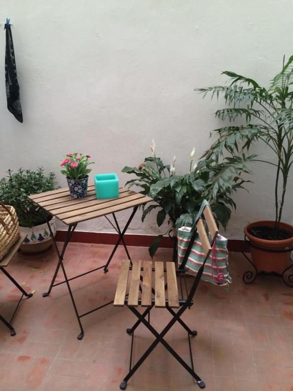 塞維利亞的住宿－URBION HOME，植物间里的桌子和椅子