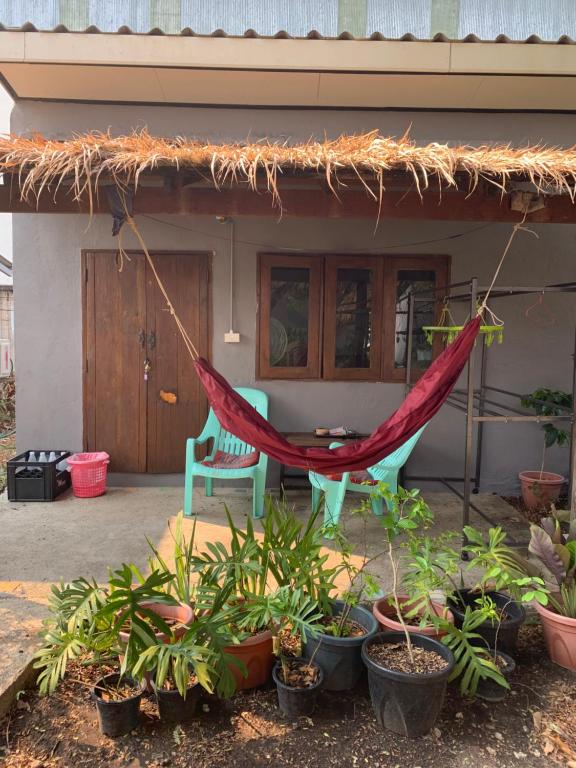 a hammock in front of a house with plants at ใจแปงโฮมสเตย์ Jaipang Homestay in Pai