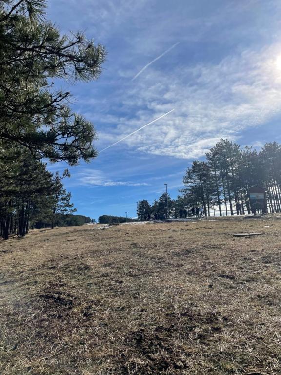 Природа в окрестностях апартаментов/квартиры