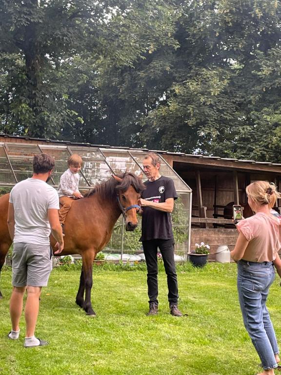 a man is standing next to a brown horse at Mormors Stue - Grethelund in Silkeborg