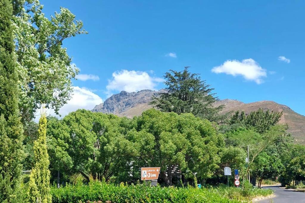 uma estrada com árvores e uma montanha ao fundo em Apartment in Stellenbosch em Stellenbosch