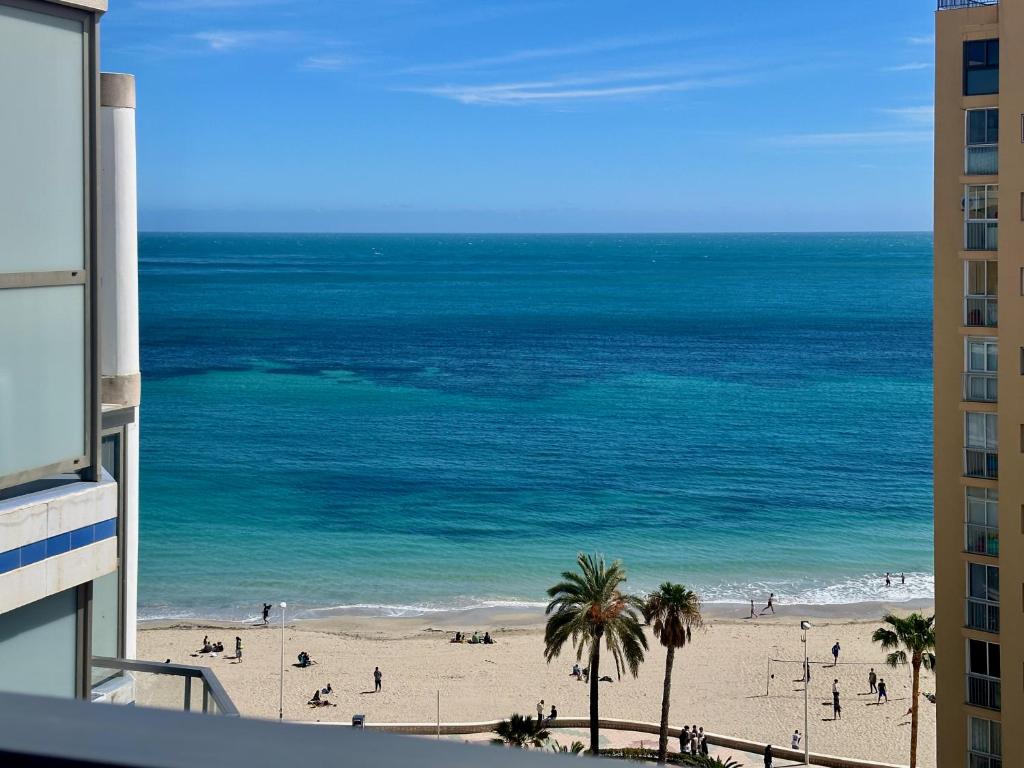 a view of a beach with palm trees and the ocean at Hipocampos in Calpe