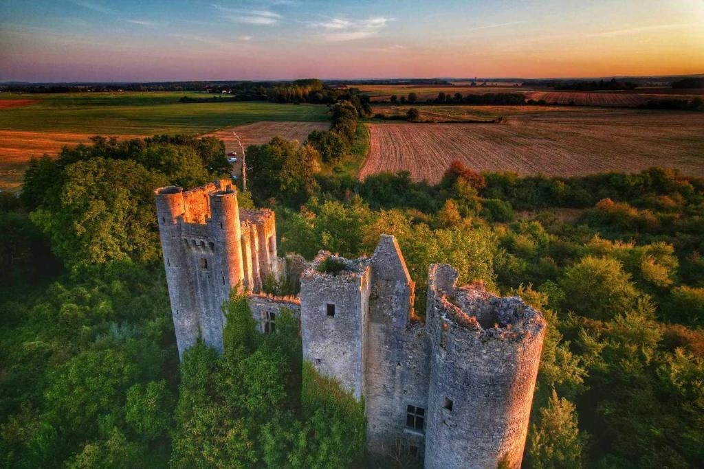 Varennes-lès-Narcy的住宿－Le Domaine du Château，田野中间的一座古城堡