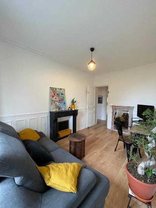 un salon avec un canapé et une cheminée dans l'établissement Joli 2 pièces à Pantin au porte de Paris, à Pantin
