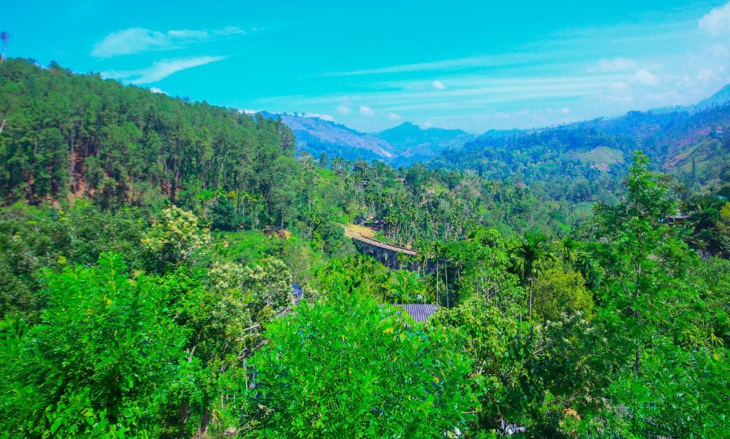 Ella Nine Arch lodge - 19