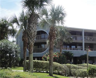 two palm trees in front of a building at Hibiscus Oceanfront Resort in Saint Augustine Beach
