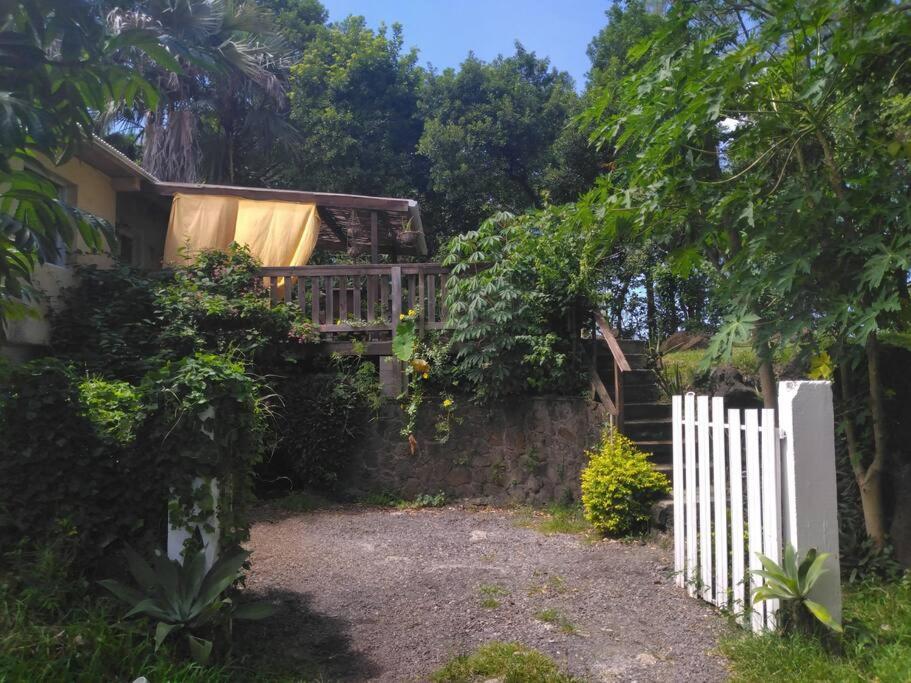 Zahrada ubytování La petite case jaune , jaccuzi pierre à 3 min à pied du bassin Manapany, vue mer