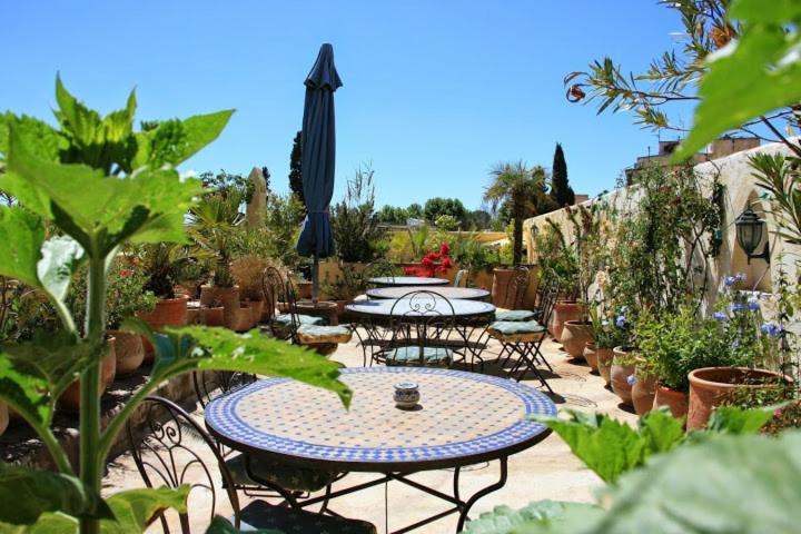 Zahrada ubytování Riad Al Bartal