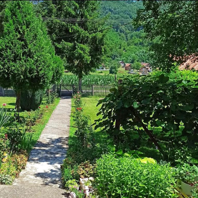 ścieżka w ogrodzie z drzewami i płotem w obiekcie Drinska lepota w mieście Ljubovija