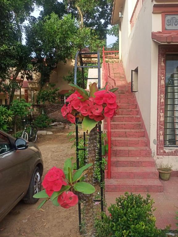 Zahrada ubytování ARANYAK homestay