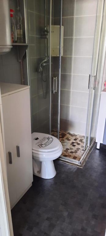La salle de bains est pourvue d&#39;une douche et de toilettes. dans l&#39;établissement Maison de la plage, à Valras-Plage