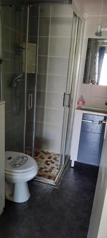 La salle de bains est pourvue d&#39;une douche et de toilettes. dans l&#39;établissement Maison de la plage, à Valras-Plage