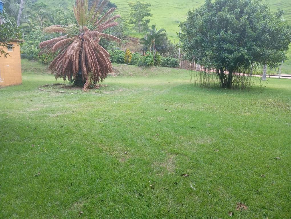 Zahrada ubytování Camping Casa Velha