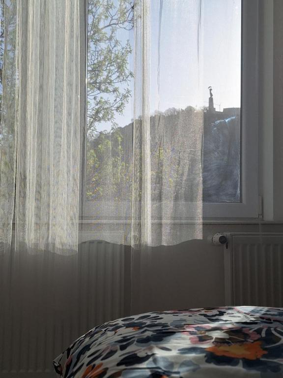 Danube View Apartment 1056 Budapest, 17 Belgrád rakpart kép - 1