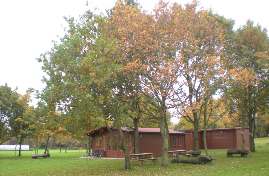 een kleine hut met een picknicktafel en bomen bij Cabin in the countryside in Sible Hedingham