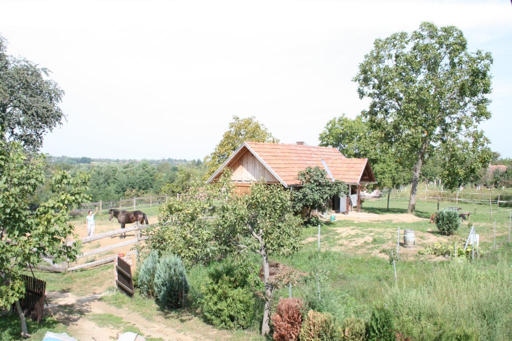 Příroda nedaleko venkovského domu