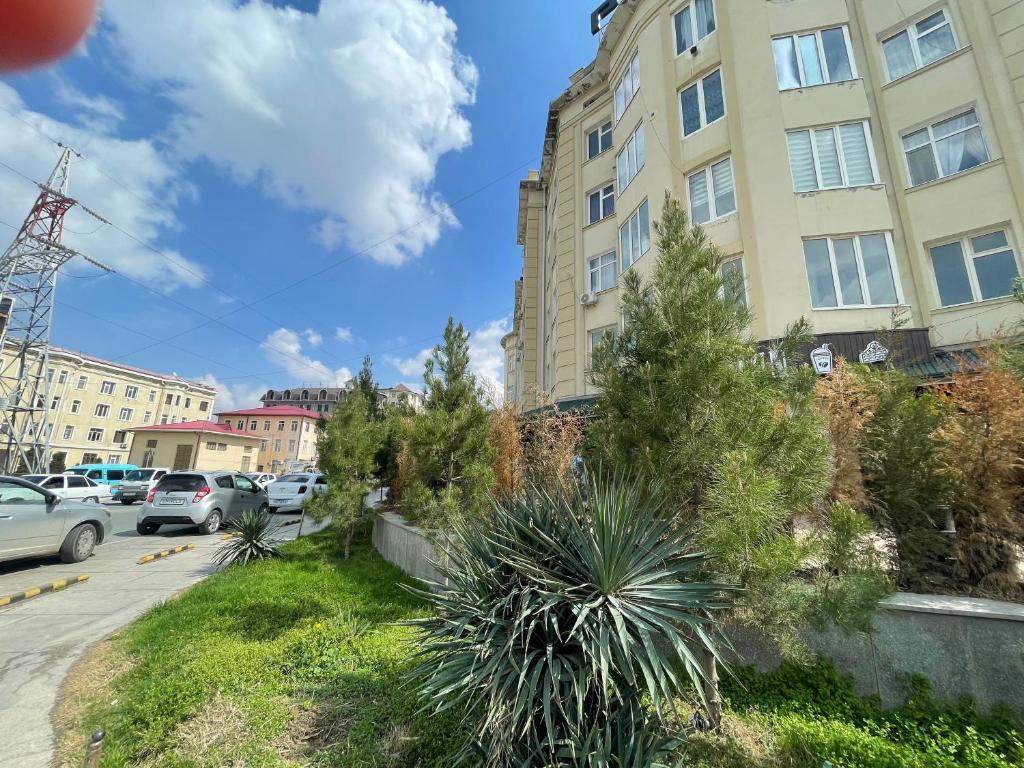 una calle en una ciudad con edificios y plantas en Cozy apartment, en Samarkand