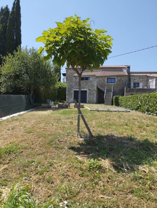 un petit arbre au milieu d'une cour dans l'établissement L'oustalou, à Saint-Genest-de-Bauzon