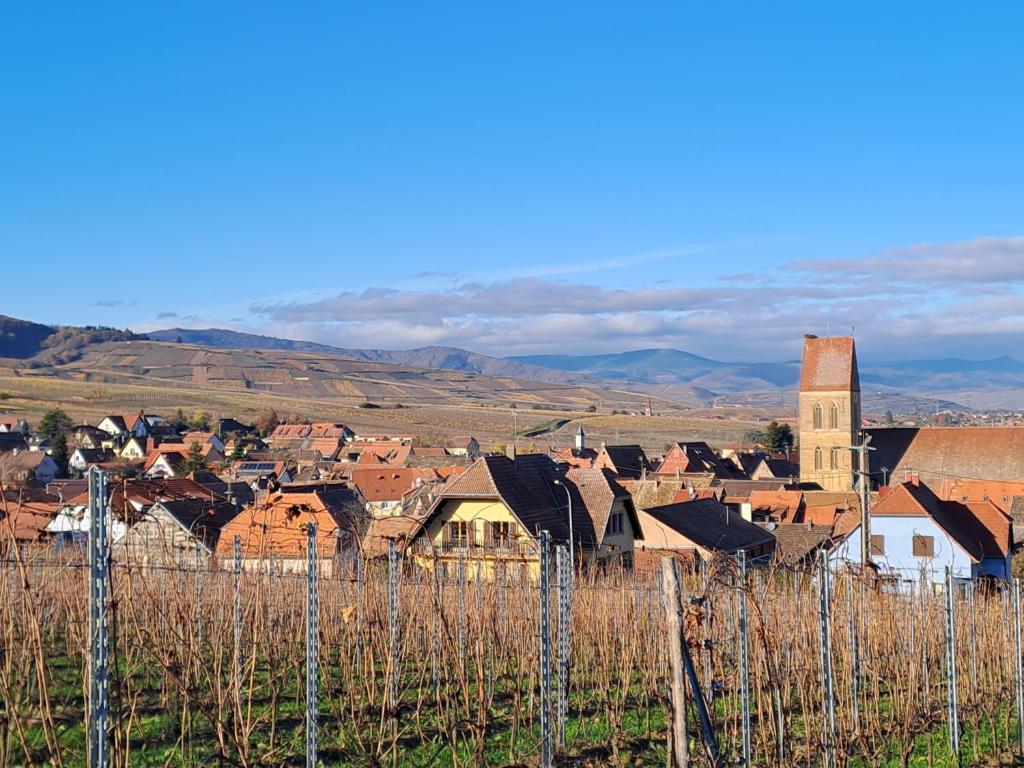 Elsass Design Hygge – photo 6