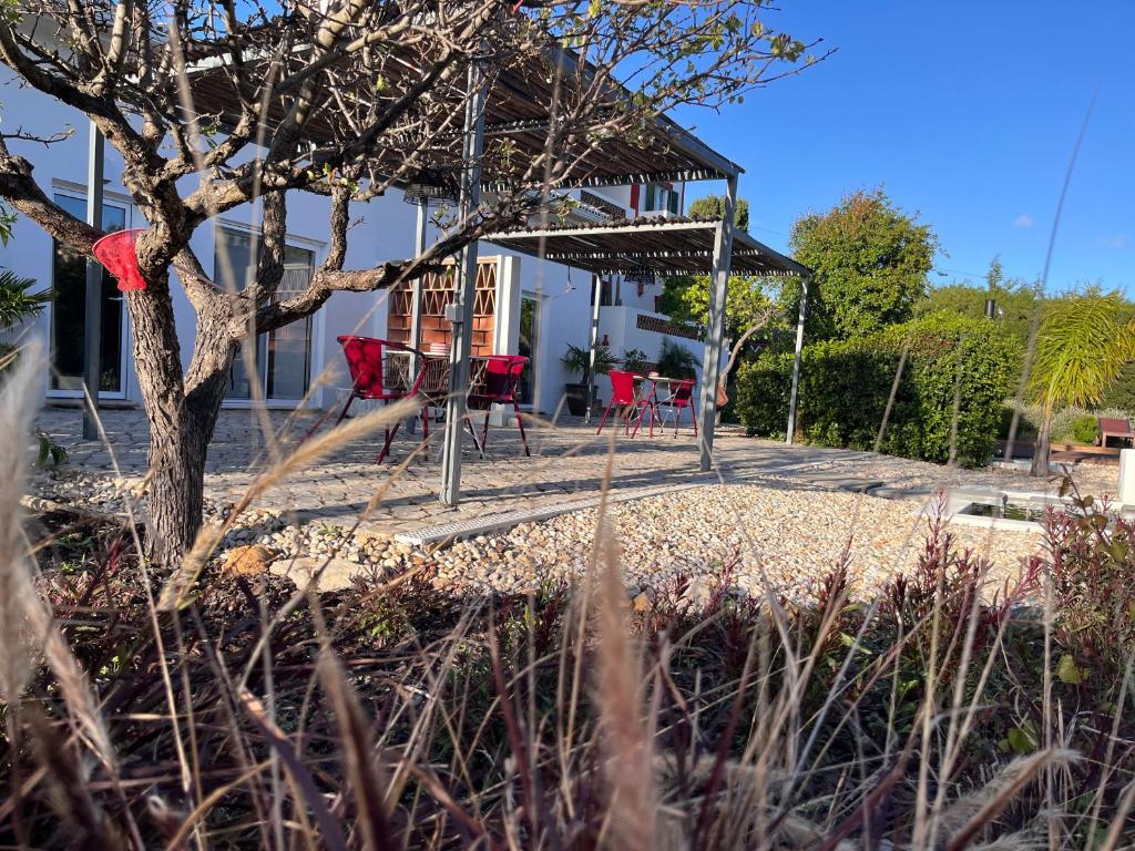 Zahrada ubytování Quinta das Carpas