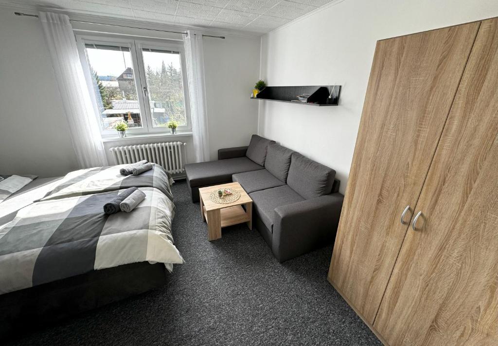 Voodi või voodid majutusasutuse Apartmány Karlovy Vary toas