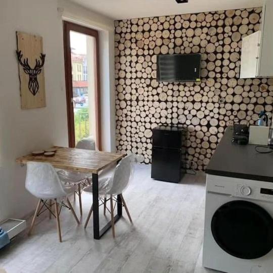 Kuchyň nebo kuchyňský kout v ubytování Apartmán U Jelena, Čeladná