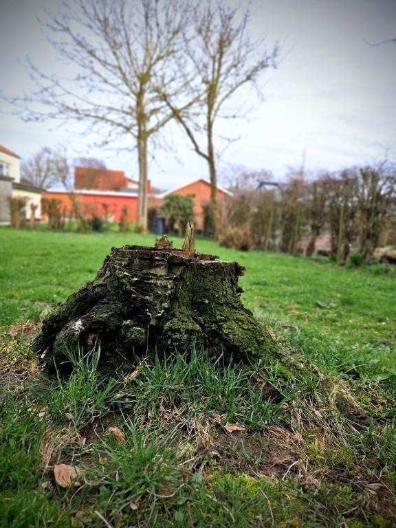 Giardino di Haus Fabjerg