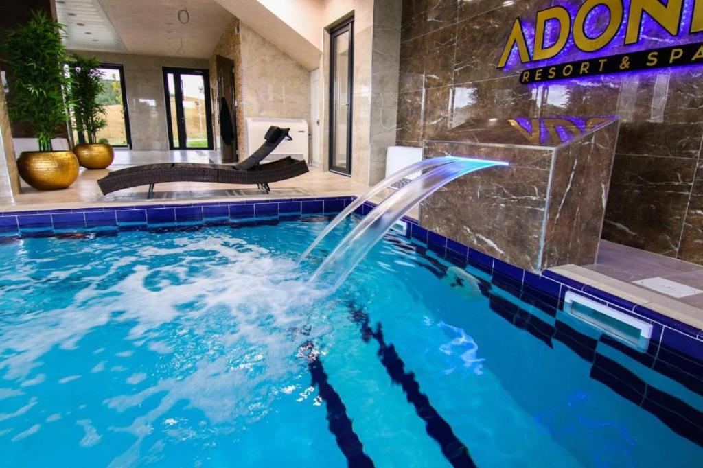 Zlatibor Hills Afrodita & Spa - Resim 27