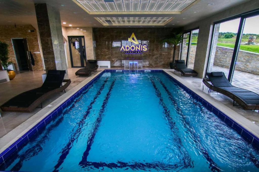 Zlatibor Hills Afrodita & Spa - Resim 45