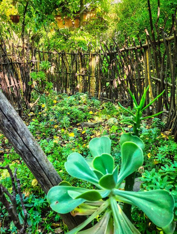 Zahrada ubytování El Jardin, Eco Cabañas Boutique